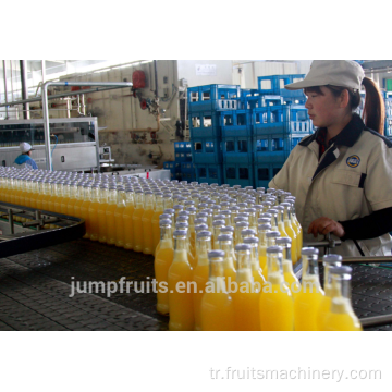 Endüstriyel Mesleği Mango Suyu Extractor